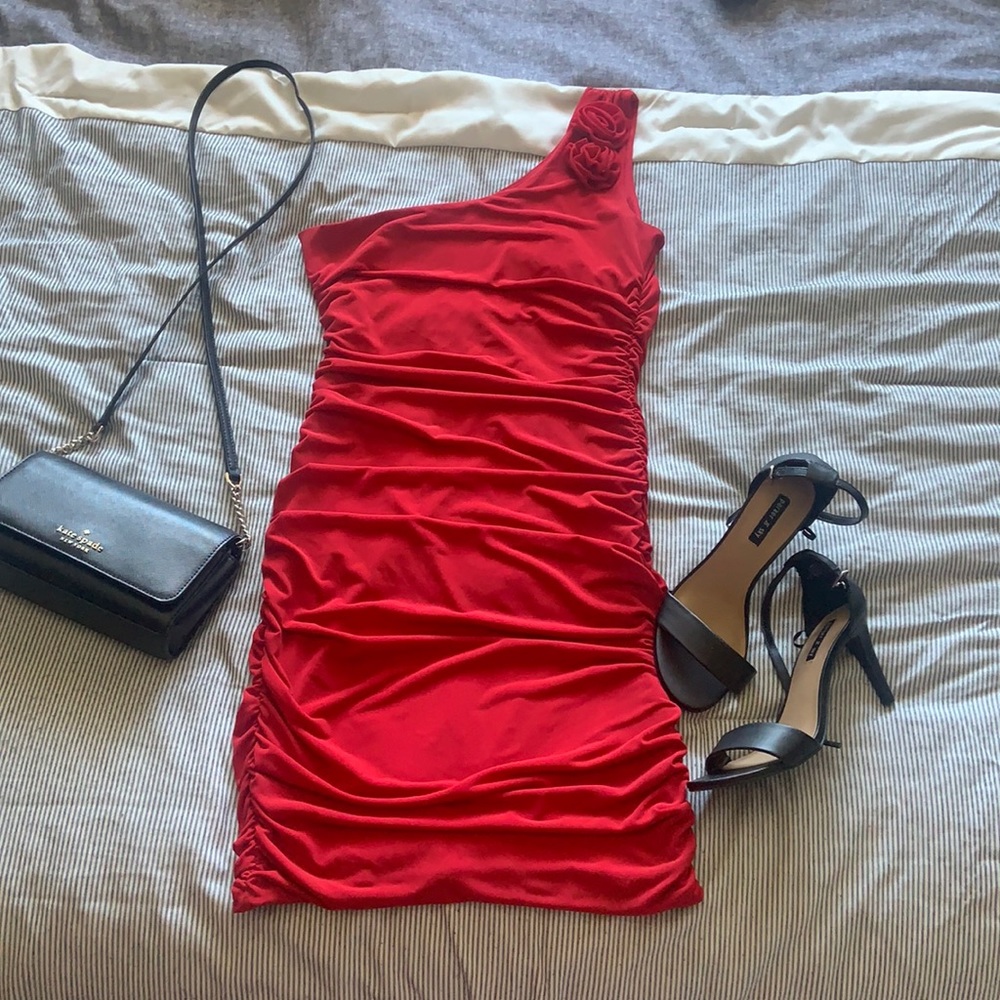 Red Rose Dress